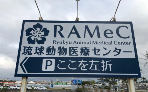 琉球動物医療センター 新設工事 野立サイン