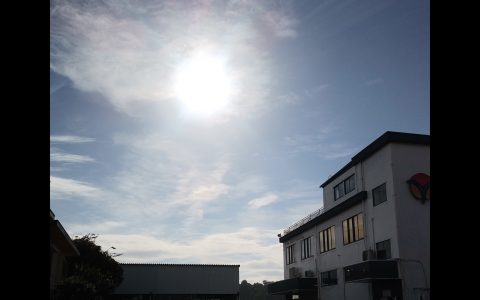 大雨からの